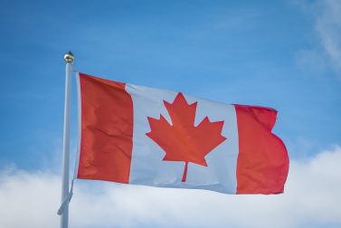 5 top Canadian dividend stocks to invest in