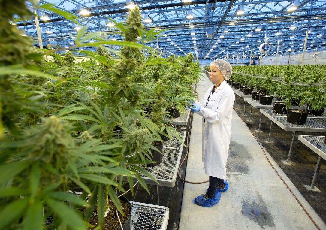 Over 30 premium products sold across 9 provinces bolster Hexo Corp.’s prospects